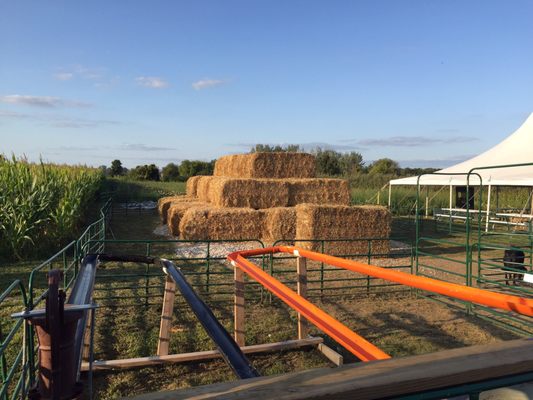 Coleman's Farm - Saline by null