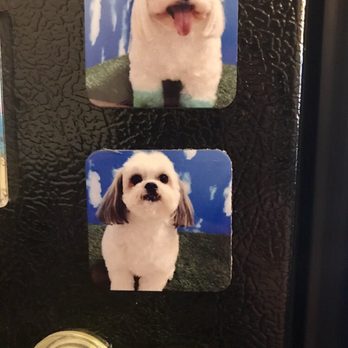 Me & My Dog - Magnets made by Me & My Dog! Thank you - Pet Groomers Near Me - Duluth, Georgia Me & My Dog - Magnets made by Me & My Dog! Thank you - Pet Groomers Near Me - Duluth, Georgia