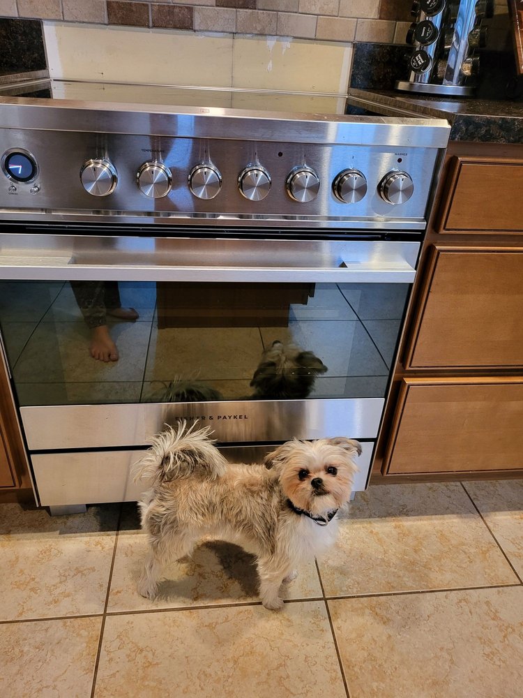 VILLAGE PET SHOP Updated October 2024 37 Photos 701 N Black Horse