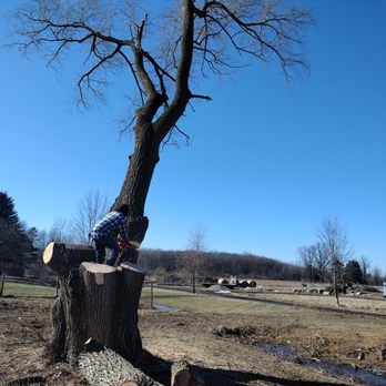 A2z outside services - Tree Services Near Me - Richmond, Michigan
