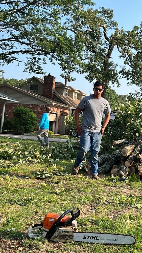 Pastor Tree Services - tree service in Mabelvale, AR