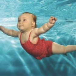Mr Fish Swimming School