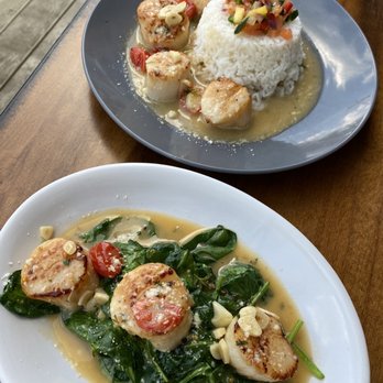 Ryfe - Scallops Florentine and Pan Seared Scallops - Bars Near Me - Atlantic City, New Jersey Ryfe - Scallops Florentine and Pan Seared Scallops - Bars Near Me - Atlantic City, New Jersey