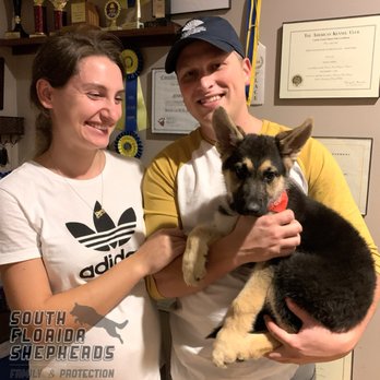 South Florida German Shepherds - South Florida German Shepherds - Pet Breeders Near Me - Miami, Florida South Florida German Shepherds - South Florida German Shepherds - Pet Breeders Near Me - Miami, Florida