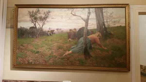 Civic Museum "Giovanni Fattori" by null