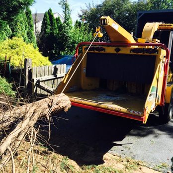 Cornerstone Tree Service - Tree Services Near Me - Medford, New Jersey Cornerstone Tree Service - Tree Services Near Me - Medford, New Jersey
