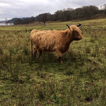 Highland Experience Tours - Tours Near Me - Edinburgh, EDH