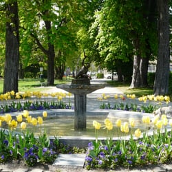 La Fête de la Tulipe