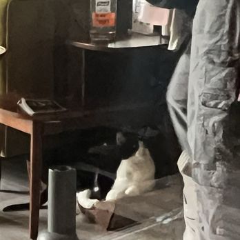 Catzen Coffee - Coffee & Tea Near Me - Saint Paul, Minnesota Catzen Coffee - Coffee & Tea Near Me - Saint Paul, Minnesota