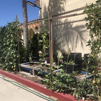 San Gabriel Valley Buddhistic Assn - They grow some vegetables, they utilize every place that has dirt. Is cool - Buddhist Temples Near Me - Rosemead, California San Gabriel Valley Buddhistic Assn - They grow some vegetables, they utilize every place that has dirt. Is cool - Buddhist Temples Near Me - Rosemead, California