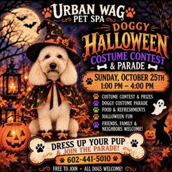 Urban Wag Pet Spa Arizona - Come join us for our doggy costume contest and Halloween celebration!