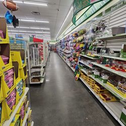Dollar Tree