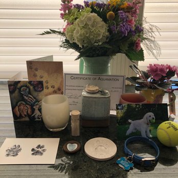Resting Waters Aquamation - Picture of everything about our dog, Sammy. Includes Resting Waters' urn, card, ink and clay paw print, and hair clippings. - Pet Cremation Services Near Me - Seattle, Washington Resting Waters Aquamation - Picture of everything about our dog, Sammy. Includes Resting Waters' urn, card, ink and clay paw print, and hair clippings. - Pet Cremation Services Near Me - Seattle, Washington