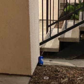 Vintage Apartments - Trash left around - Apartments Near Me - Ontario, California