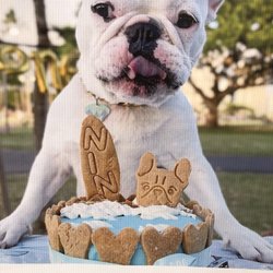 Paradise Pawz - Every friend needs a treat!!!