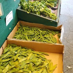City Produce Fruit Market