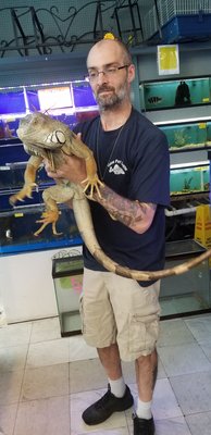 unicorn sweater for dogs