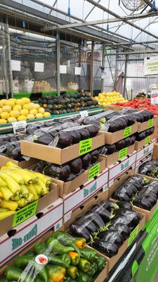 19th Avenue Farmer's Market by null