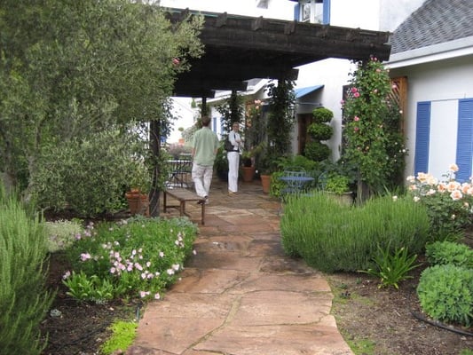 Benessere Vineyards by null