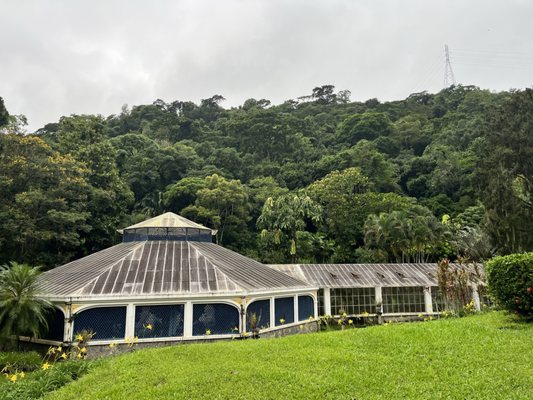 Jardim Botânico by null