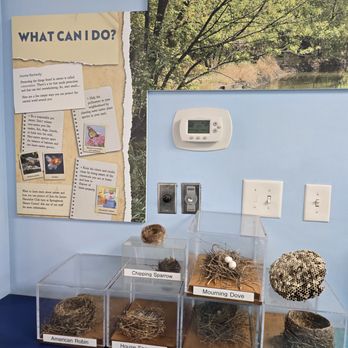 Springbrook Nature Center - Arts & Entertainment Near Me - Itasca, Illinois Springbrook Nature Center - Arts & Entertainment Near Me - Itasca, Illinois
