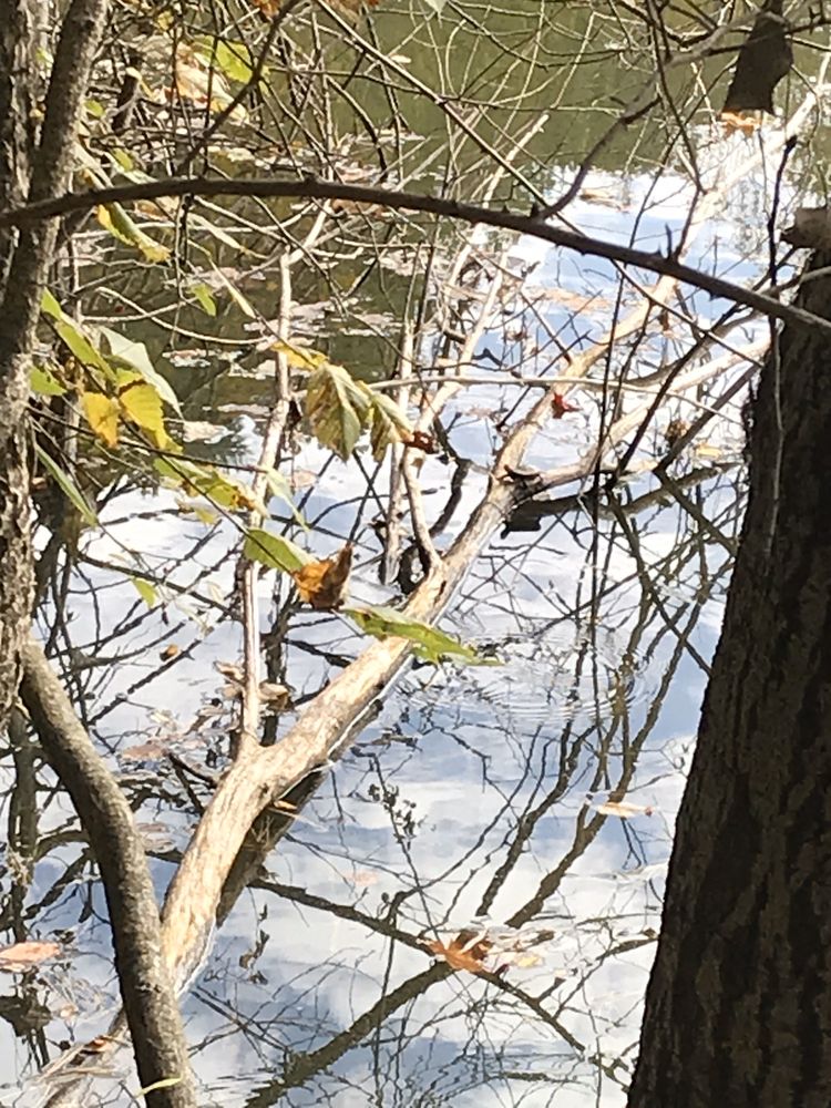 THE CELERY FARM 101 Photos & 16 Reviews Hiking N Franklin Tpke