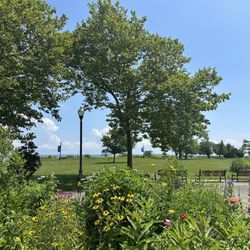 Oak Street Beach - 7.8.2025