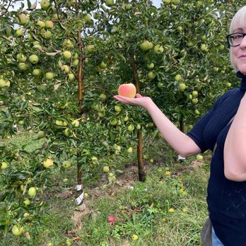MacQueen's Orchard - Apple  Orchard - Bakeries Near Me - Holland, Ohio