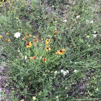 The Arboretum at Flagstaff - Parks Near Me - Flagstaff, Arizona