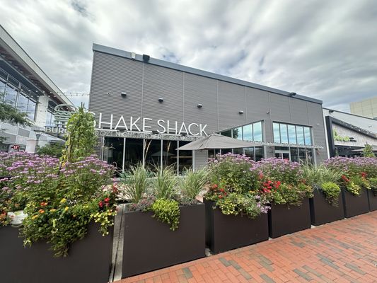 Shake Shack Chestnut Hill by null