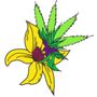 Photo of Blooming Buds Dispensary