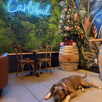 Cbar - Wine Bars Near Me - Carlsbad, California