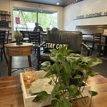 Tenth Street Coffee - My view from their couch. - Coffee & Tea Near Me - Palmetto, Florida Tenth Street Coffee - My view from their couch. - Coffee & Tea Near Me - Palmetto, Florida