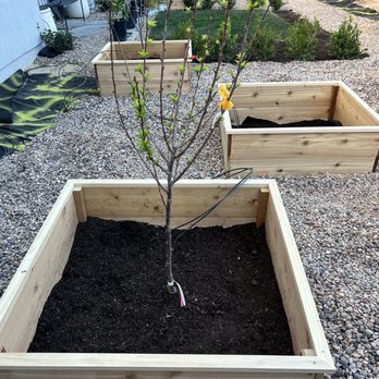 Vira Grow - Gardeners Near Me - North Las Vegas, Nevada Vira Grow - Gardeners Near Me - North Las Vegas, Nevada