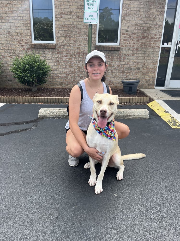 SUNNYBROOK BOARDING & GROOMING KENNELS Updated August 2024 13