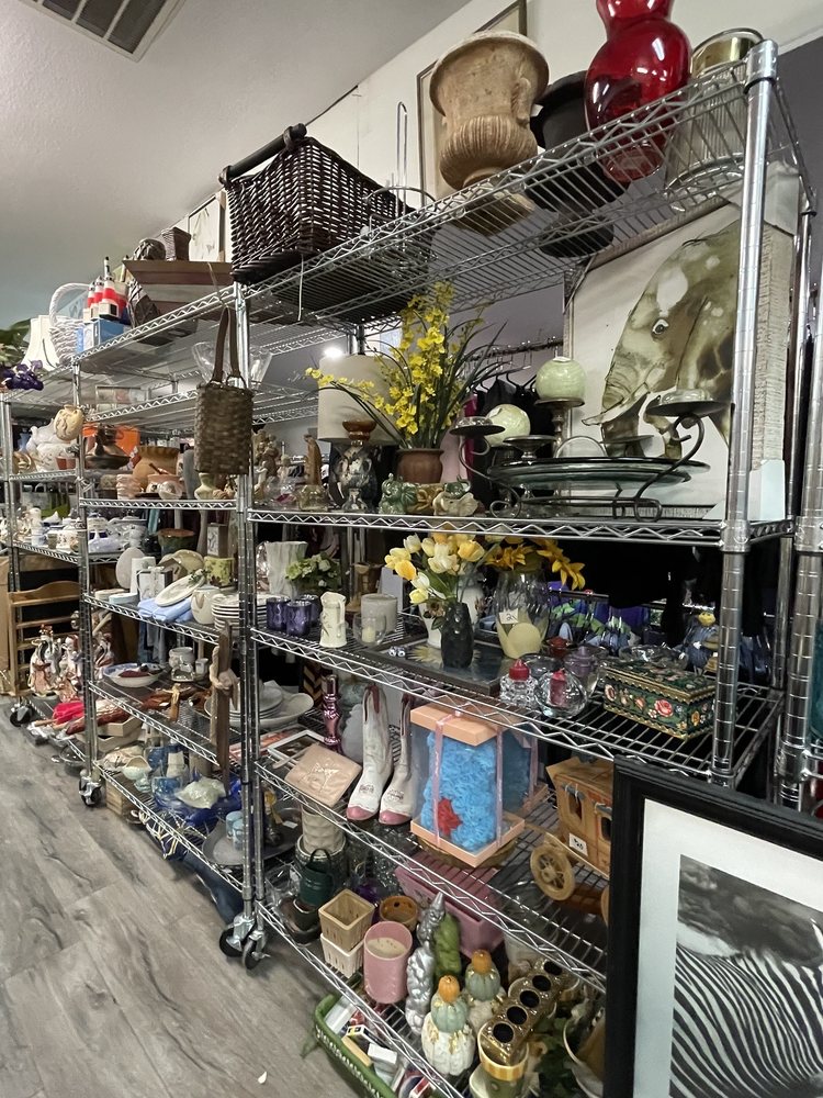 DOG JUNKIES THRIFT STORE Updated September 2024 57 Photos & 67