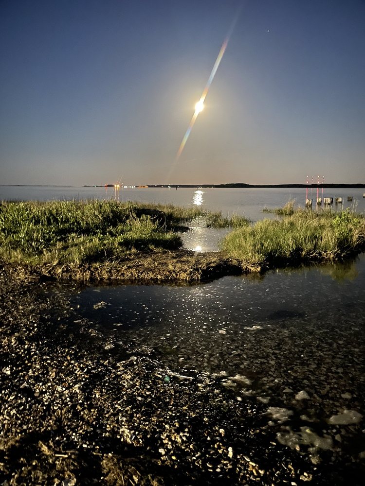 THOMAS JEFFERSON ROLLINS NATURE AREA Updated June 2024 25012039