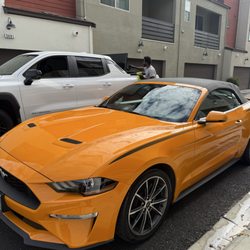 Constant Clean - Every vehicle needs a wax and buff at least twice a yr.