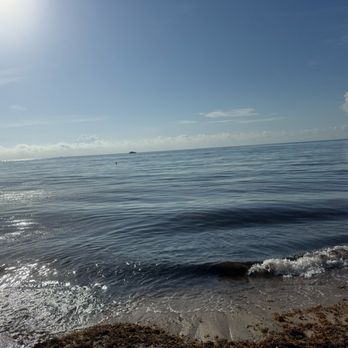 Gulfstream Park - Parks Near Me - Boynton Beach, Florida