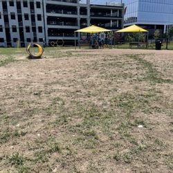 Bark Park Omaha