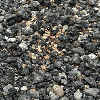 Patch Bro - This does not look like any type of asphalt - Masonry/Concrete Near Me Patch Bro - This does not look like any type of asphalt - Masonry/Concrete Near Me