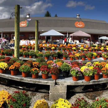 Ideal Farm Garden Center - Nurseries & Gardening Near Me - Lafayette, New Jersey Ideal Farm Garden Center - Nurseries & Gardening Near Me - Lafayette, New Jersey