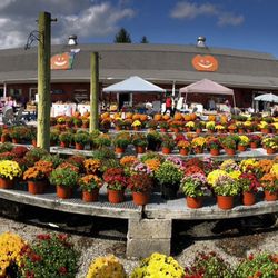 Ideal Farm Garden Center