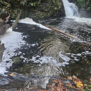 Goldstream Provincial Park - Goldstream Falls - not sure if you can see the dark fins of the salmon poking up from the water - Parks Near Me - Victoria, British Columbia
