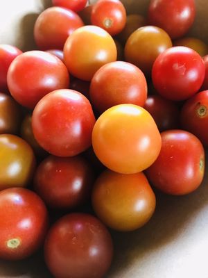 Borner Farm Project by null