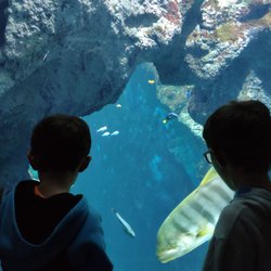 Aquarium de Lyon