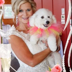 Dogs of Distinction - Beau all ready for our Wedding!
