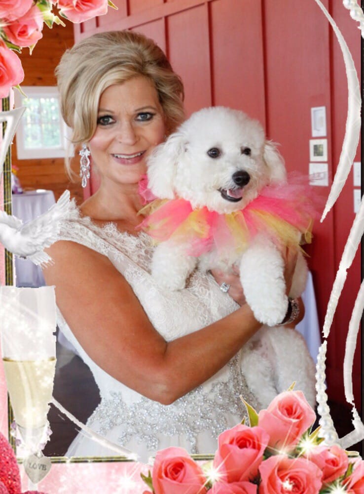 DOGS OF DISTINCTION Updated October 2024 2511 Broad St, Camden