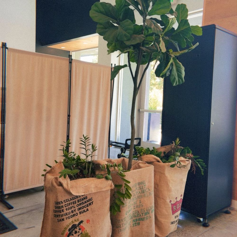 Blacklight Coffee Roastery - Inside - Coffee Roasteries Near Me - Santa Ana, California
