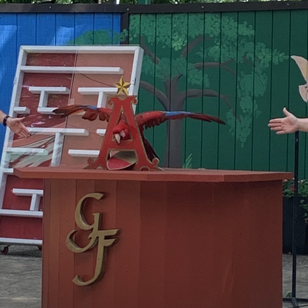 Grant's Farm - Macaw trick during show - Attraction Farms Near Me - St. Louis, Missouri